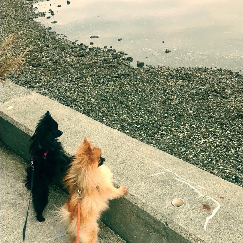 Meet your Posher, Kimmay